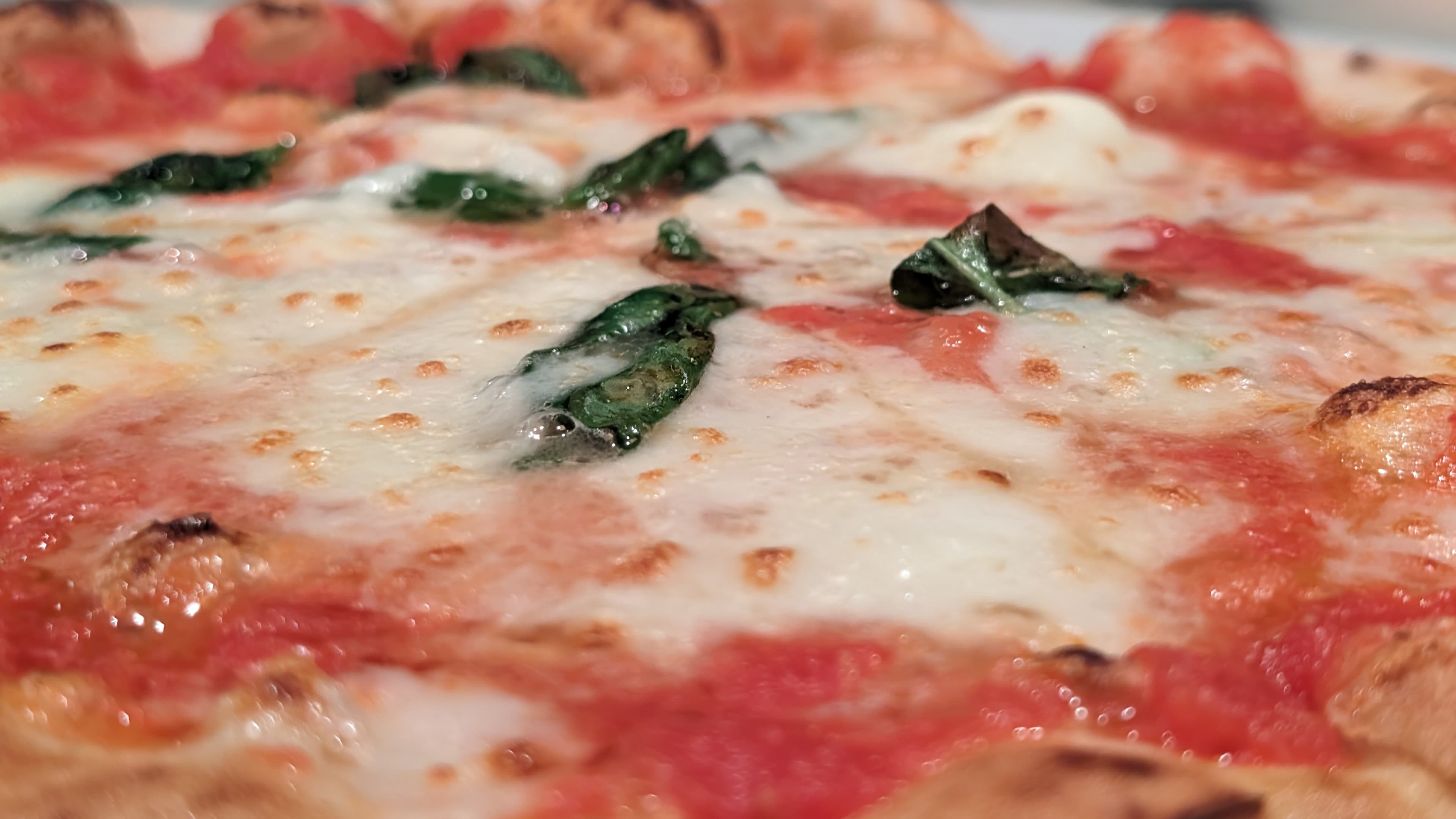 Cover Image for 2024 Tokyo Reviews Part 2 (Pizza Edition)