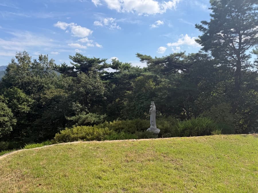Falling into Korea and Japan: Part 2